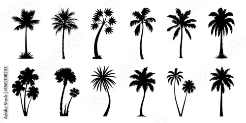 Set of Twelve Black Palm Tree Silhouettes for Tropical Beach Design and Summer Vacation Graphics
