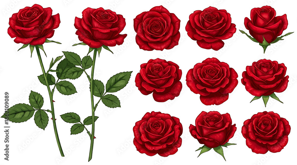 Obraz premium Collection of Red Roses with Green Leaves flower floral