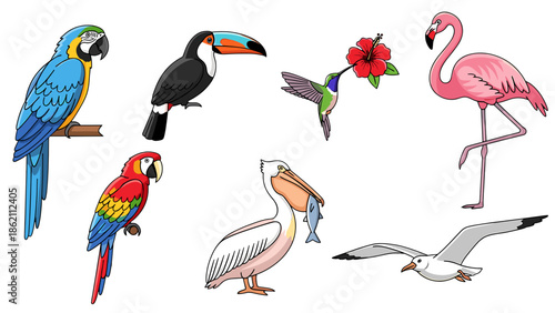 Vibrant Birds and Pink Flamingo with Rose Illustration