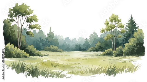 Modern vector watercolor-style nature wallpaper featuring forest clearing with grass and wild plants, open peaceful woodland background for wall decor and surfaces