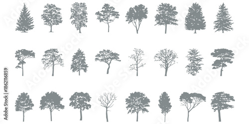 Collection of Various Tree Silhouettes and Botanical Outlines for Park and Garden Planning and Environmental Graphics