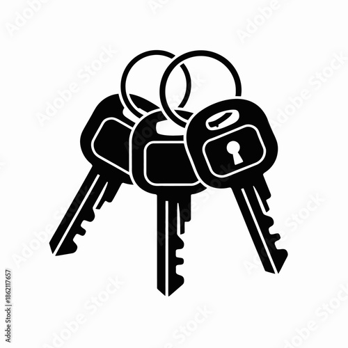 A set of keys on a keyring against a white background