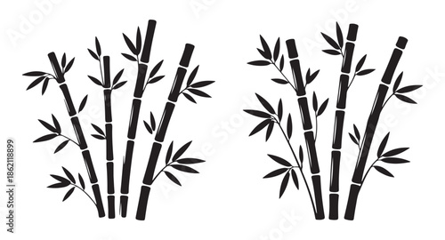 Black bamboo trees set isolated on white background. vector hand drawn decorative illustration