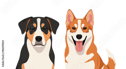 Portrait of two friendly domestic dogs featuring a tri-colored hound and a happy smiling orange and white pembroke corgi.