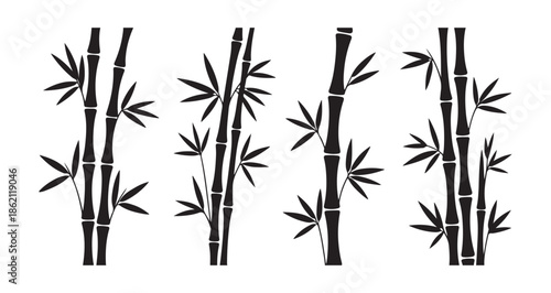 black bamboo branches with leaves silhouette on white background vector set
