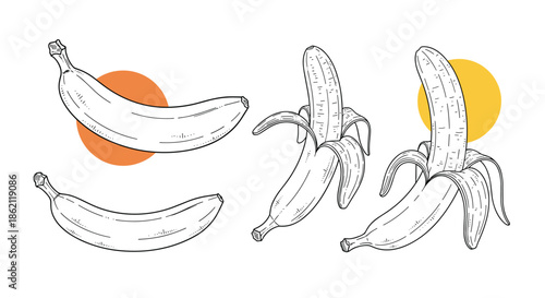 Set of hand drawn banana illustrations including whole fruit and partially peeled versions with colorful circles.