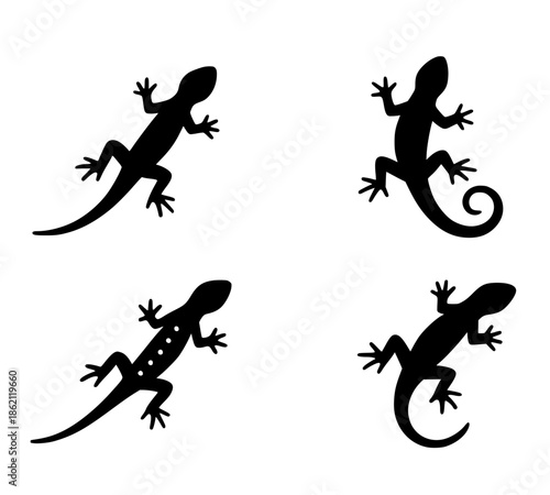 4 lizard illustration icons, silhouette, transparent background