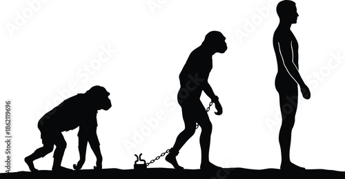 Human evolution silhouette concept showing ape to modern man progression, freedom and development timeline isolated on white background illustration