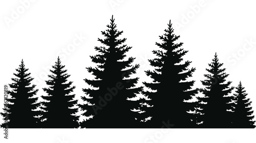 Silhouette of evergreen trees against a plain white background