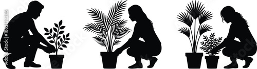 People silhouettes caring for potted plants, indoor gardening activity, plant care, growth, nature connection, eco lifestyle, calm routine illustration concept