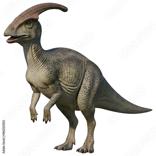 Parasaurolophus Dinosaur 3D Illustration Isolated on White Background