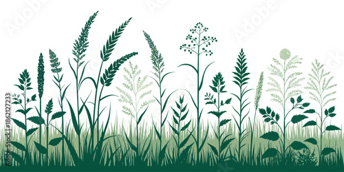 Variety of green plants and grasses on white background