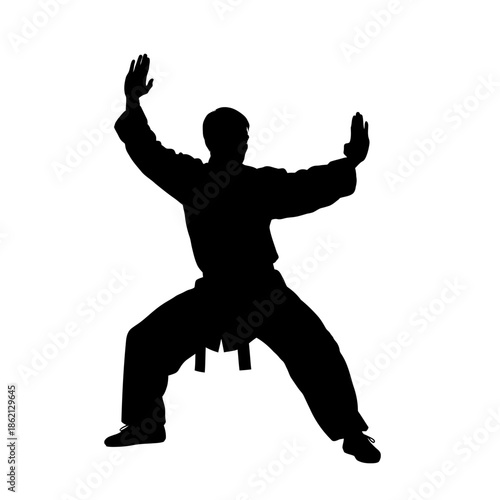 Silhouette of a Karate Practitioner in Defensive Stance.