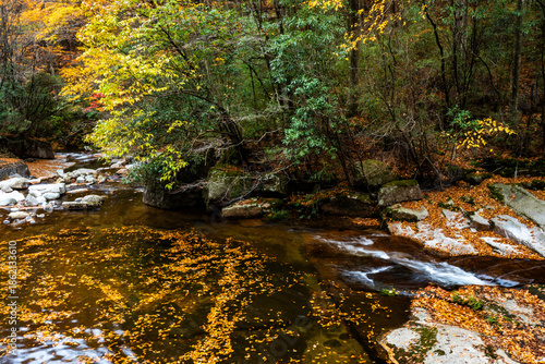 The autumn brook