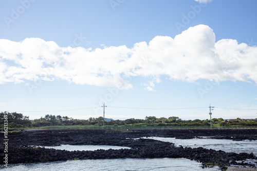 Wallpaper Mural dutch landscape with a windmill Torontodigital.ca