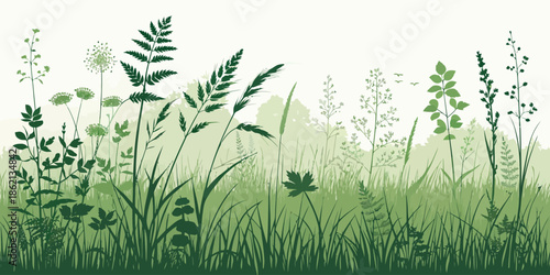 Lush green grass and wildflowers in a serene natural landscape