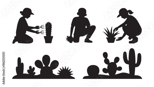 People Planting Cacti and Succulents Silhouettes on Desert Landscape