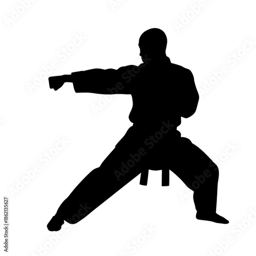Silhouette of a Karate Practitioner in Action Stance.