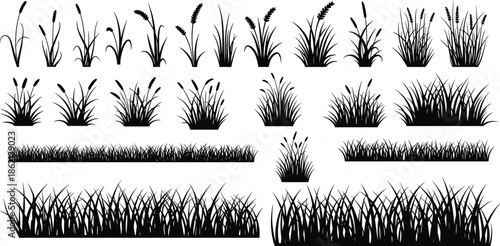 Set of black grass silhouettes, meadow borders and lawn textures, vector nature collection, isolated field illustration for summer garden design.
