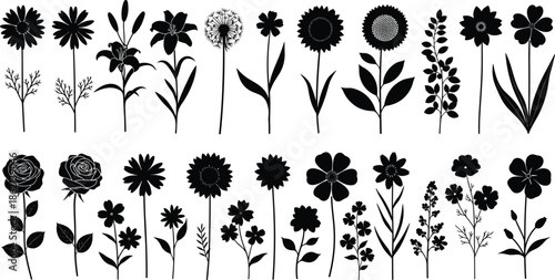 Set of various flower silhouettes, rose sunflower and daisy, black vector floral collection, isolated botanical nature illustration, garden design elements.