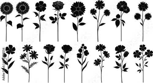 Silhouette set of garden flowers including roses sunflowers and daisies, black vector botanical collection isolated on white background - cad drawing flat vector illustration
