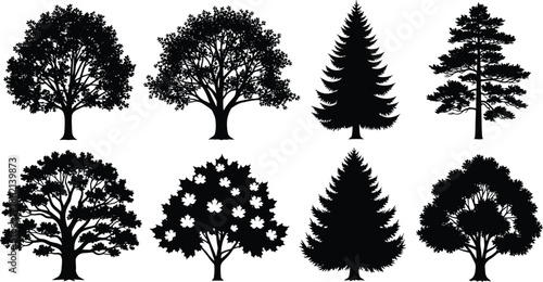 Big collection of wild meadow flowers, herbs and plants silhouettes, vector botanical set isolated on white background - cad drawing flat vector illustration