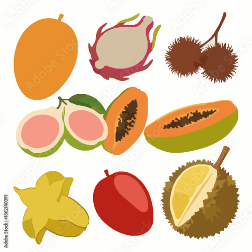 Exotic Fruits Vector Illustration Set in Minimal Flat Style