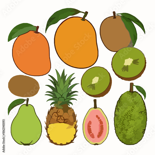 Flat Vector Exotic and Tropical Fruits Illustration Set
