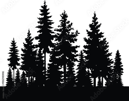 Evergreen forest silhouettes, tall pine trees woodland scenery, black nature vector illustration isolated landscape