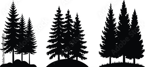 Pine forest silhouettes, evergreen trees grouped landscapes, black nature vector illustration set isolated icons design