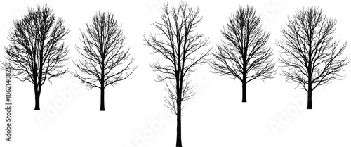 Set of black bare tree silhouettes, winter forest nature collection, leafless branch vector illustration, isolated dead wood design.