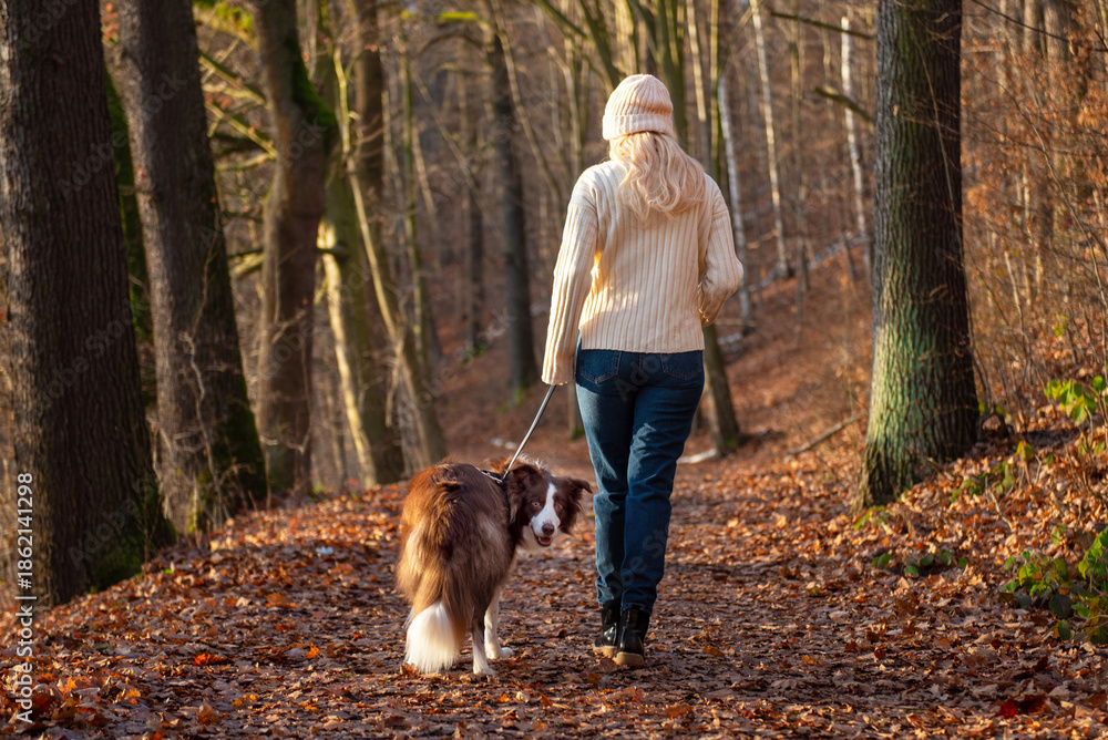 Fototapeta premium Woman and her adorable border collie dog enjoying walk in forest, playing and exercising and having fun
