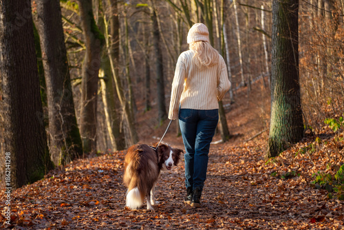 Woman and her adorable border collie dog enjoying walk in forest, playing and exercising and having fun