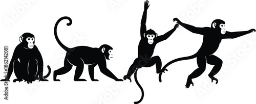 Monkey movement silhouette, black vector, animal motion, jumping pose, crawling monkey, sitting figure, wildlife icon, graphic, illustration, jungle behaviorMonkey movement silhouette