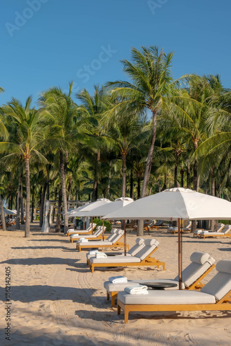 Sunny Tropical Beach Scene with Empty Lounge Chairs and Palm Trees