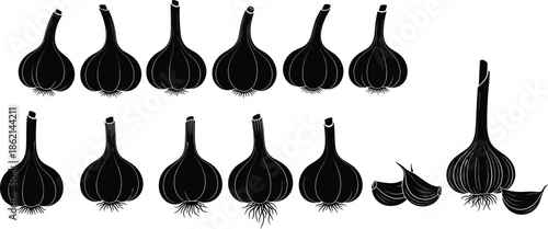 Black Silhouettes of Garlic Bulbs and Cloves – Minimalist Botanical Illustration for Culinary, Herbal, and Kitchen Design Use