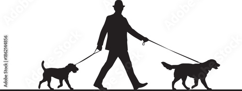 Man walking two dogs on leashes silhouette outdoor activity illustration on transparent background