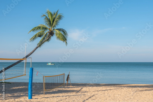Empty Beach Volleyball Court and Palm Tree on a Sunny Tropical Shore