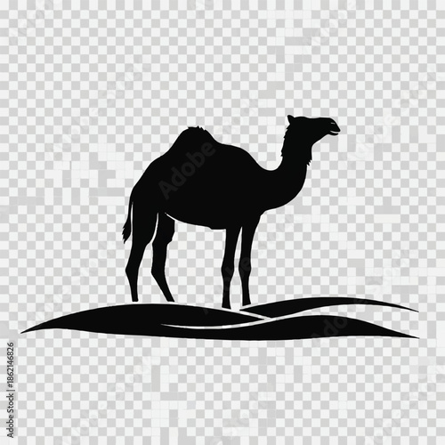 Desert Silhouette of a Camel Standing on Dune under Quiet Horizon.