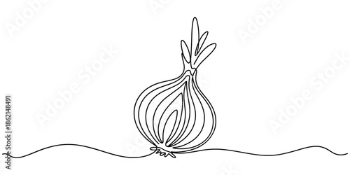 Two bulbs of onions. Harvest. Continuous line drawing. Vector illustration, Continuous one line drawing of onion, freshness organic bulb onion for harvesting logo identity. Fresh common onion.