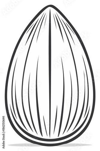 Abstract Almond Seed Outline Graphic Drawing Design Element