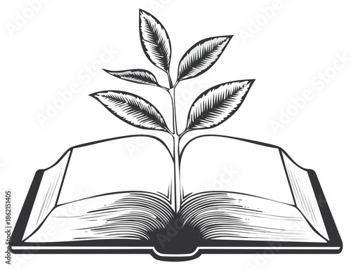 A new seedling sprouts from an open book representing knowledge growth and learning
