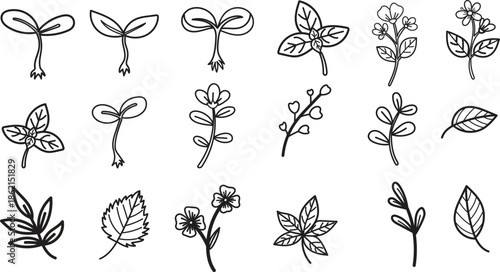 Black and white line art illustrations of various plants and herbs, all set against off-white background.