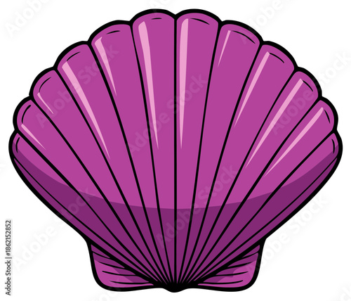 Purple Seashell Detailed Illustration Shell Mollusk Ocean Souvenir