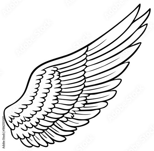 Angelic Wing Illustration with Detailed Feathering, Symbolic of Flight, Protection, and the Divine, Evoking a Sense of Freedom