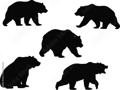Wild bear silhouettes collection, black bear shapes, grizzly bear walking, standing bear, roaring bear, sitting bear, animal wildlife vector illustration