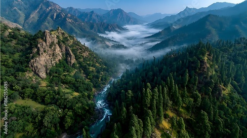 Soft mist covering mountain river and forest landscape wallpapers