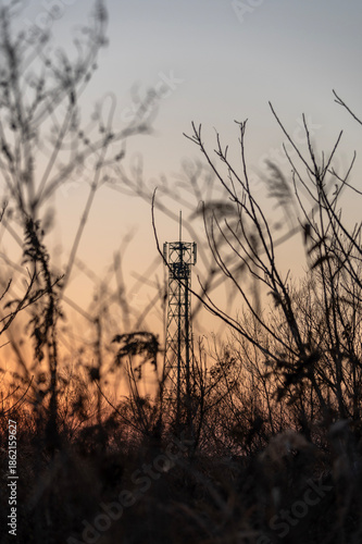 冬の夕暮れ時に枯れ草の向こうにそびえ立つ電波塔のシルエット
