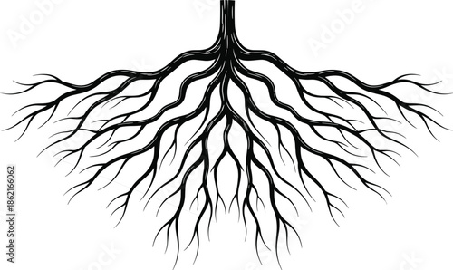Black and white vector illustration of an ornate spreading tree root system isolated on a plain white background.