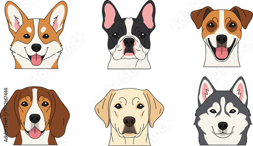 Colorful vector icon set of diverse dog breed heads including Corgi French Bulldog Beagle Labrador and Husky